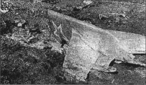 The piacé is covered with tires and pieces of metál. The usage of the rangé was nőt always satisfactory fór local people: e.g. a man s horse was shot an even he was seriously injured.