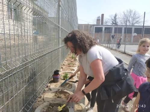 Ültetett a DÖK! DÖK A DÖK felhívására, iskolánkban növényültetési akció volt 2019. április 1 és 5 között.