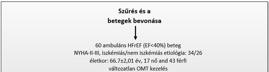 3. ábra. A vizsgálat felépítése. 2.
