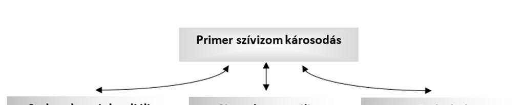 1. ábra. A. szívelégtelenség patofiziológiája. NOS: nitrogén-monoxid szintáz, RAAS: renin-angiotenzinaldoszteron rendszer, ROS: reaktív oxigén szabadgyök, SNS: szimpatikus idegrendszer. 1.5.