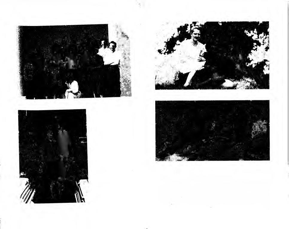 56. A