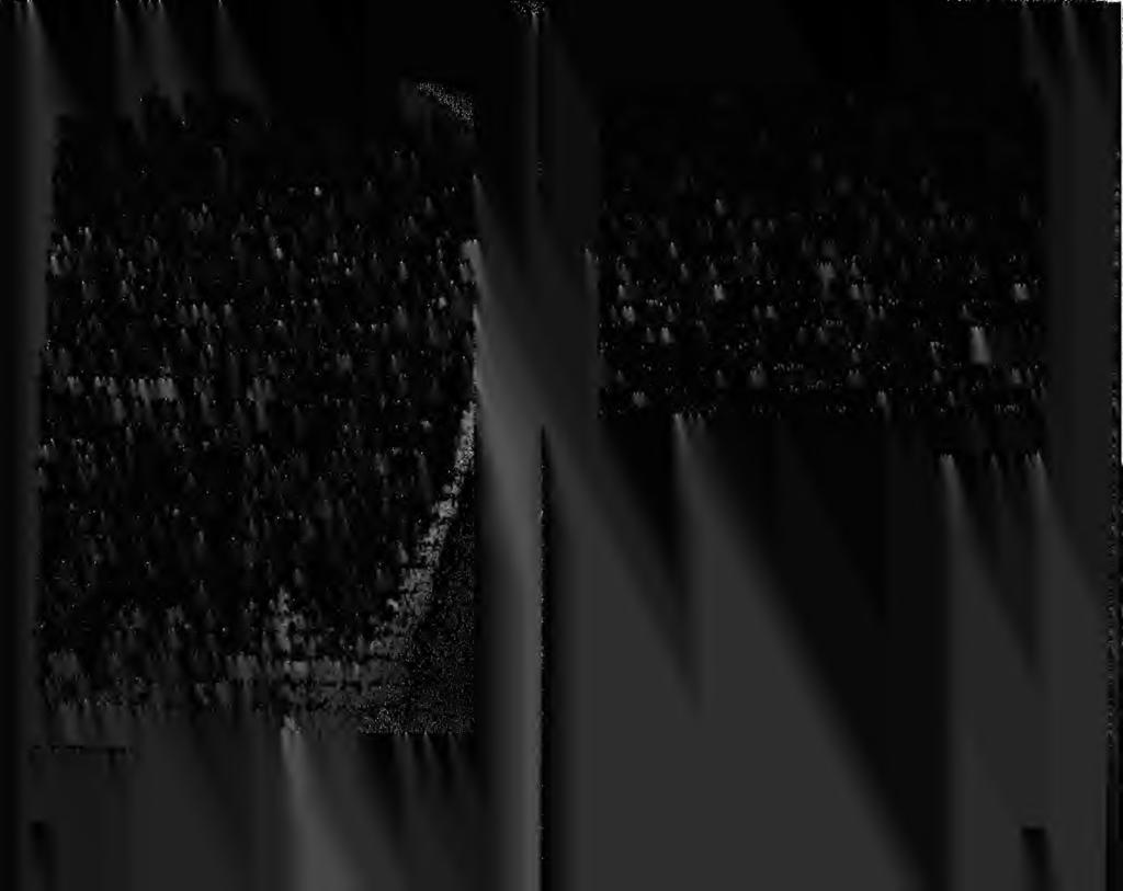 ' dbl0 ffbrniijdbtfii,! (Luijkks fiuuuf-t JLstldk, fa&jkjiij^, ^t/l odjsrm> CAymU' pidjp**//mlamal, p. c6ajk tp/jlj pasf~/^jo 6wsu^tfAjiLcnvVi &rusd&xs{ /nut^tuk /^fe^zsw, psjjppijzfjl.fusp,.