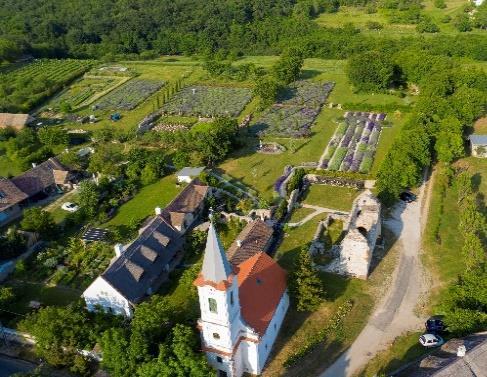 hu www.vamosivendeghaz.hu Dörgicsei Levendula Major Dörgicse A major páratlan természeti és kulturális környezetben található: egy 1000 éves rom társaságában őrzi a történelem titkait.