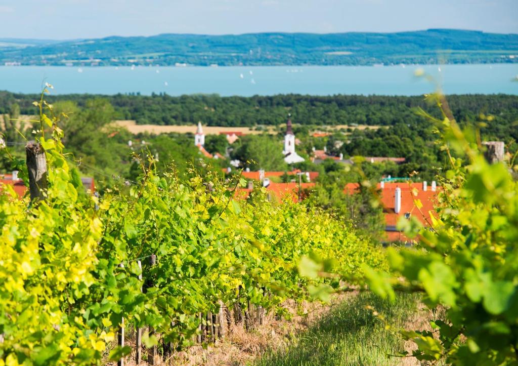 ÉLMÉNYEK, TÚRÁK Szeretnénk egy egész napos kirándulást a Balaton-felvidéken? Védjegyeseink választásával garantáltan a legjobb élményben lesz részünk.