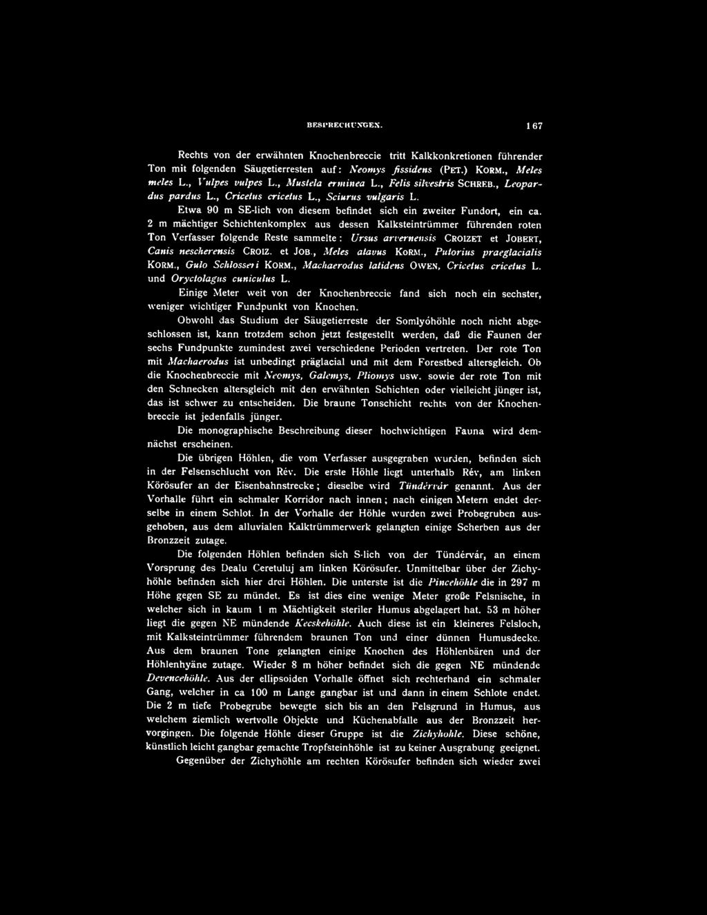 , Meles atavus K orm., Putorius praeglaciális K orm., Gulo Schlosseti K orm., Machaerodus latidens O w en, Cricetus cricetus L. und Oryctolagiis cuniculus L.