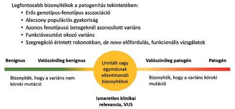 3. TÁBLÁZAT.