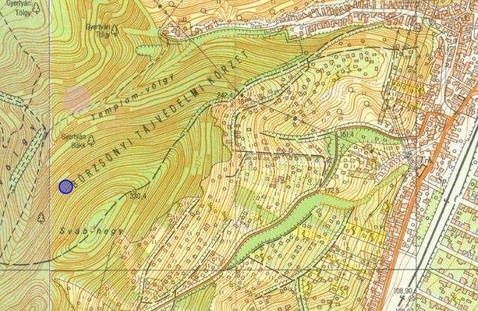 1993. Szerk.: Torma István. 235.o. A Hegyes-tetőre vezető út mente. Érintett hrsz.