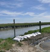 A csatornák vízelvezető hatására pedig csak ráerősítenek egyéb környezeti hatások, a talajvízszint mára métereket csökkent a Duna-Tisza közén.