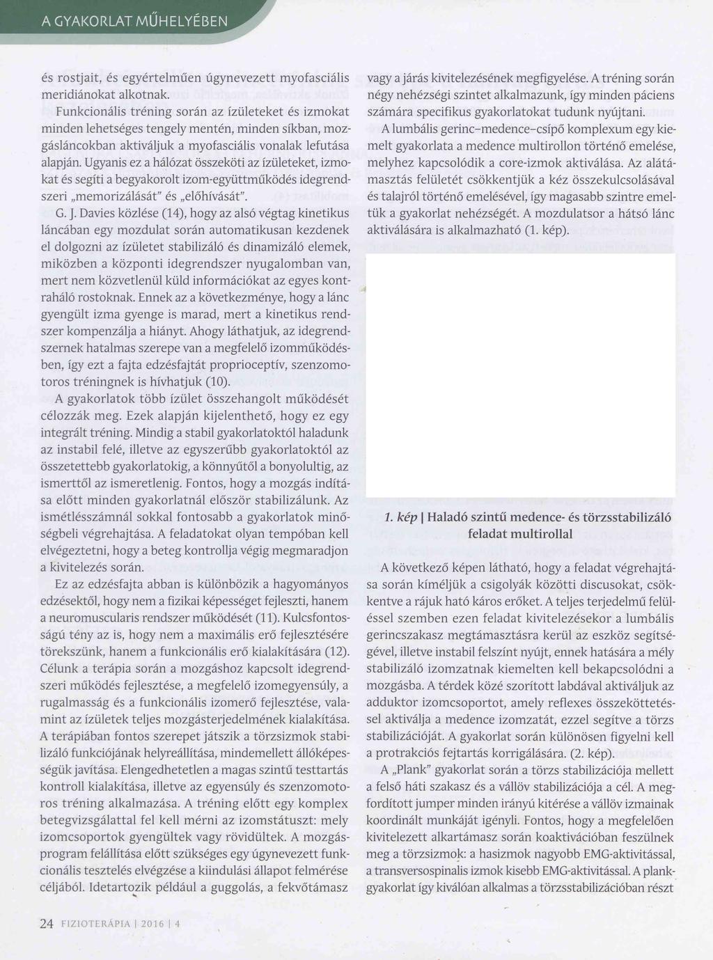 és rostjait, és egyértelműen úgynevezett myofasciális meridiánokat alkotnak.
