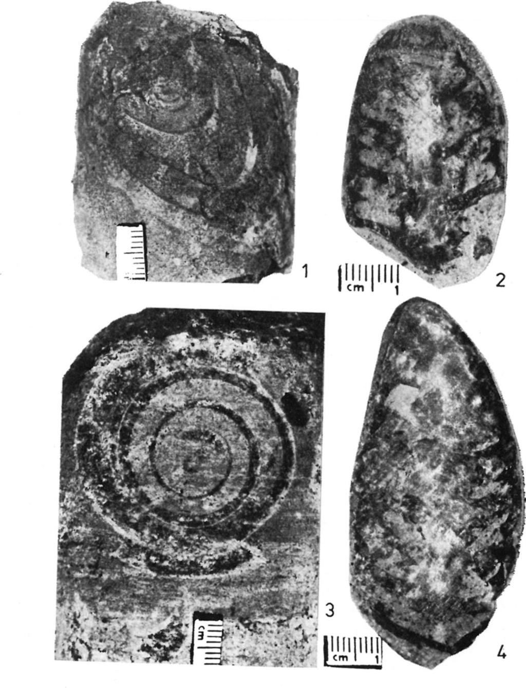 kötet, 2.