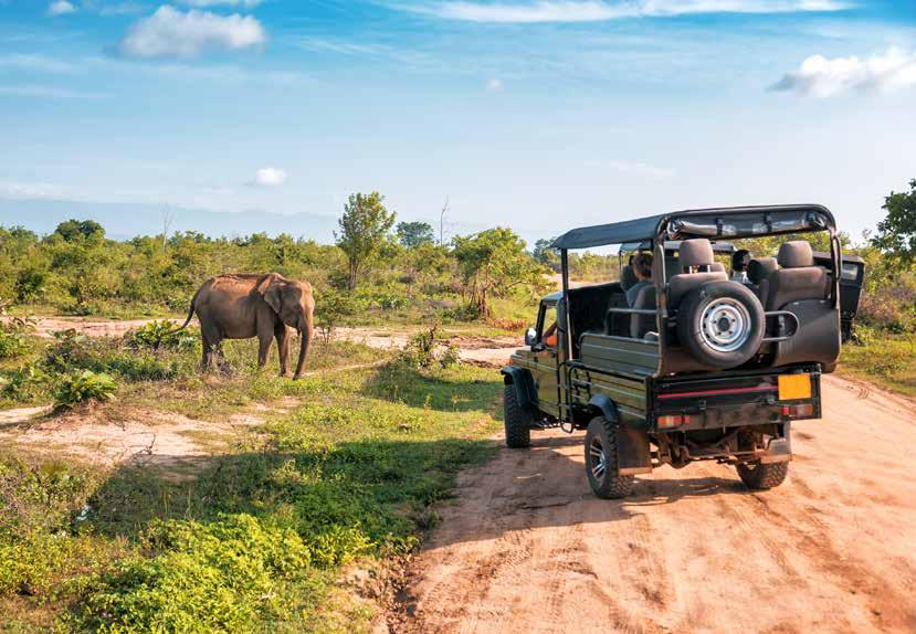 Dél-Afrika Szafari és körutazás a Garden Route mentén Csoportos körutazás Szafari Magyar Idegenvezető Természeti látnivalók JOHANNESBURG FOKVÁROS JÓREMÉNYSÉG FOKA PRETORIA KNYSNA GRASKOP GEORGE