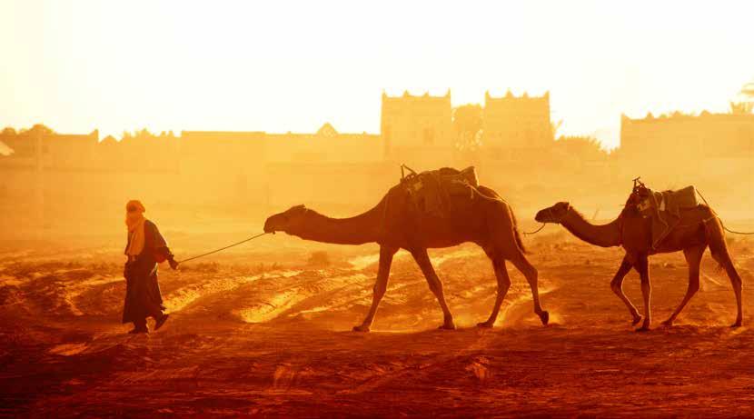 Nagy körutazás Marokkóban Kultúra és látnivaló Magyar Idegenvezető Csoportos körutazás Természeti látnivalók RABAT CASABLANCA MARRAKESH VOLUBILIS MEKNES OUARZAZATE ERFOUD FEZ 1.