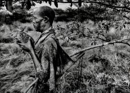 A világot nem torzítva megmutatni, hanem úgy, ahogyan az a gép keresőjében látszik. Robert Frank (1924-2019) 16B tételben is Svájci születésű. Mindig fotós akart lenni.
