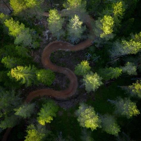 II) Erdei kerékpáros singletrail (egynyomos) pálya műszaki leírás 1.