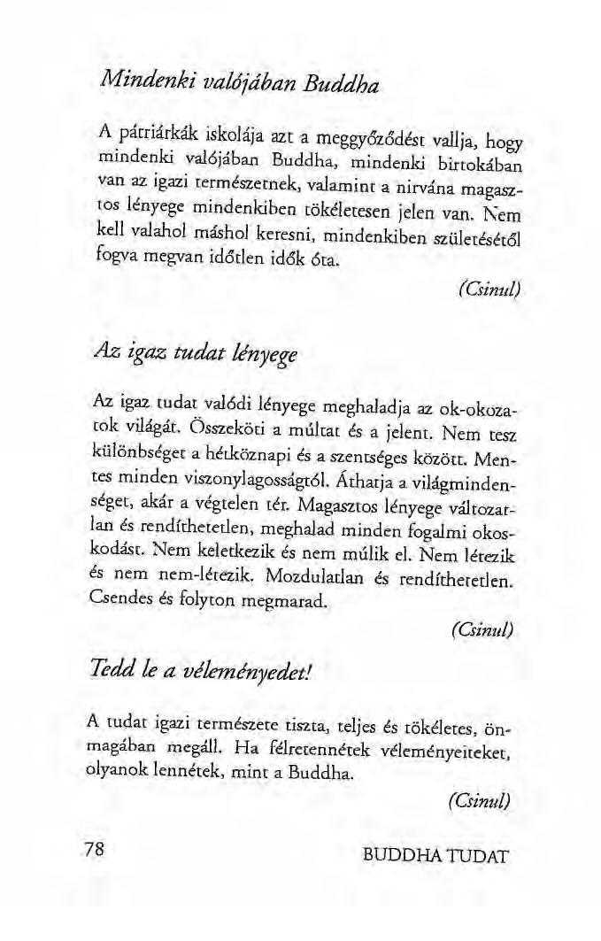 Mindenki valójában Buddha A pátriárkák iskolája azt a meggyőződést vallja, hogy mindenki valójában Buddha, mindenki birtokában van az igazi természetnek, valamint a nirvána magasztos lényege