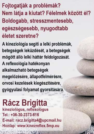 Almádi Zeneiskoláért Alapítvány, adószáma: 18938591-1-19 5. Györgyi Dénes Iskoláért Alapítvány, adószáma:18924907-1-19 6. Vörösberényi Általános Iskoláért Alapítvány, adószáma: 18935598-1-19 7.