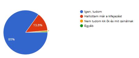 A továbbiakban már egyértelműen az influenszerek, véleményvezérek ismeretéről kérdeztem a kitöltőket.