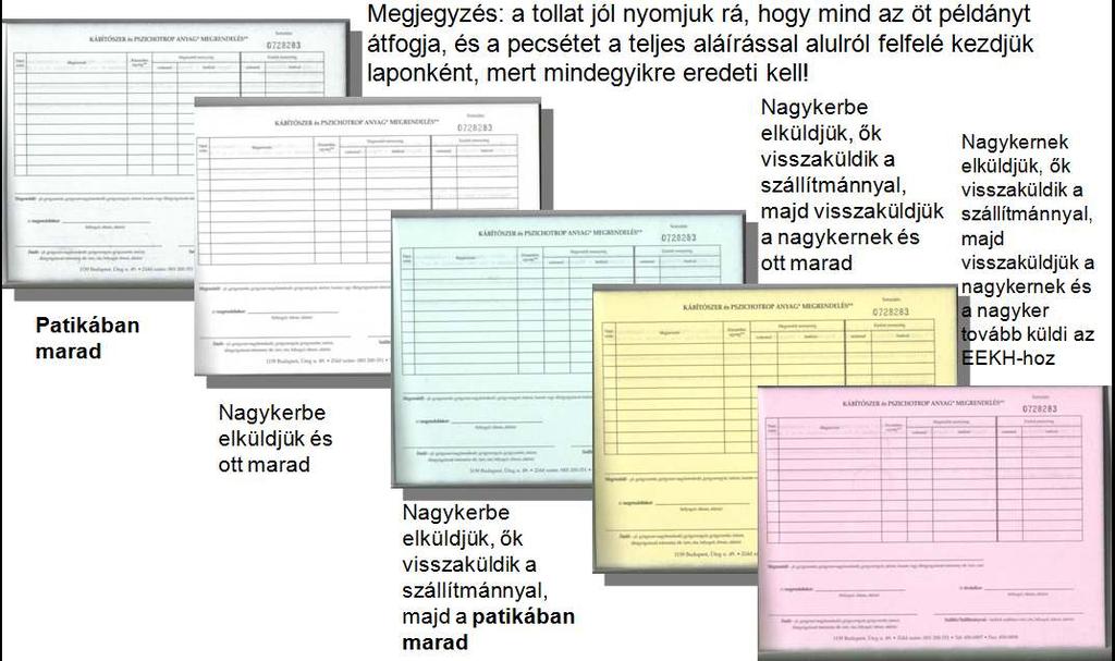 3.2. Az 5 példányos