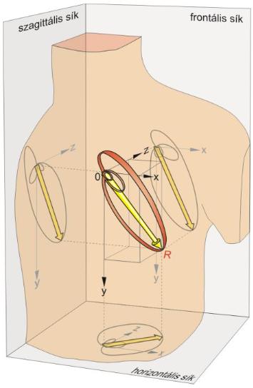 Az Einthoven-elvezetések és az integrálvektor A dipólusmomentumvektor különböző dimenziójú