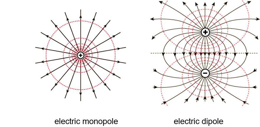 A szív elektromos tere Elektromos dipólusmomentum: A dipólust jellemző vektormennyiség: számértéke a szétválaszto7 töltések nagyságának és távolságának szorzata; iránya a pozijv pólus felé mutat.
