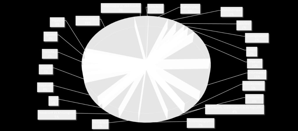 A Heves Megyei Szakképzési Centrum tanulóinak megoszlása ágazati megoszlásban A Heves Megyei Szakképzési Centrumban 22 ágazat képzése folyik az új Szakképzési