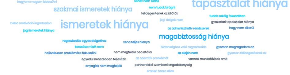 ábra: Vállalkozóvá válást gátló tulajdonságok (N=243), (Forrás: saját szerkesztés, https://monkeylearn.