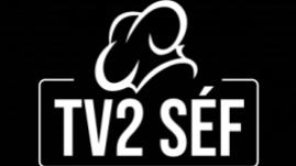 Channel filmcsatorna 55 AXN