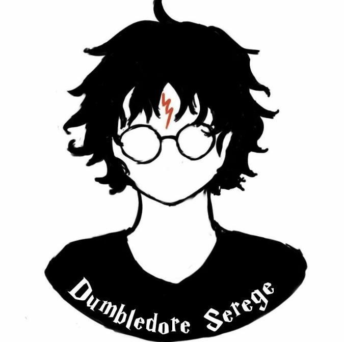 3. számú kép: A Dumbledore Serege Facebook-oldal logója 4.