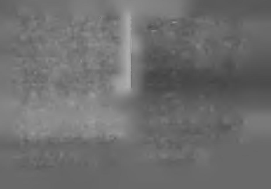 328 329 506; Clouston "Noodles" 38; Fb III 1142a s.v. "aeg"; Wesselski "Hodscha Nasreddin" I 249 No. 163; Coffin 8; Christensen DF XLVII 208 No. 63. Liungman 1961. 283-4.