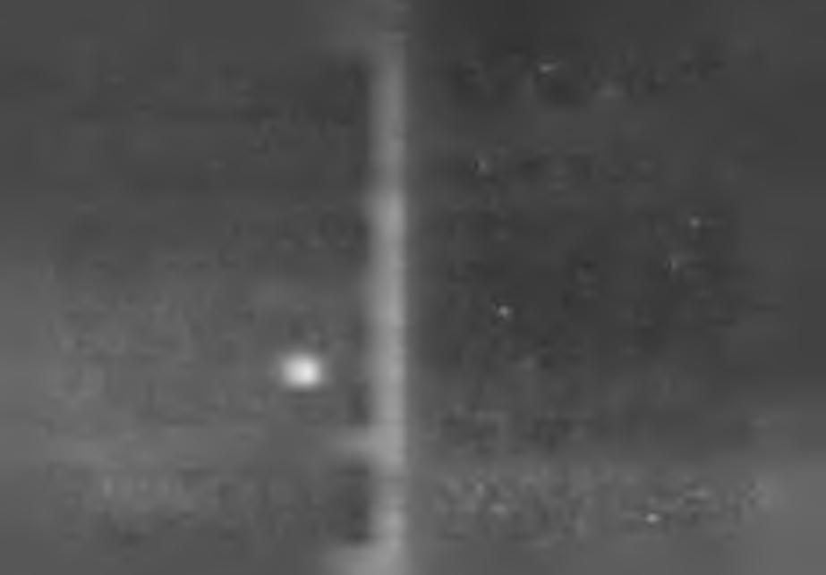 448 1300*XVII ES DARE NICHT MEHR VORKOMMEN! Die Frau eines am Rande des Waldes lebenden Holzhackers ist gestorben, sie war aber nur scheintőt.
