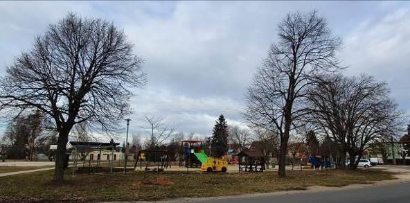 A zöldfelület jellege gyepesligetes, facsoportokkal, jellemző