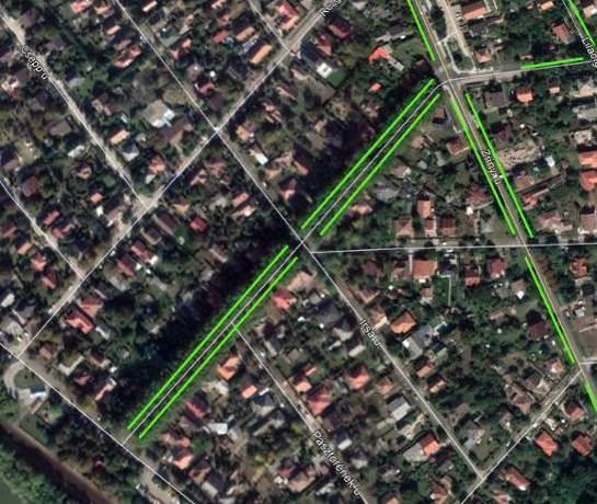 A védendő valószínűleg a gömb juhar (Acer platanoides Globosum )