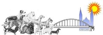 / Dog Show
