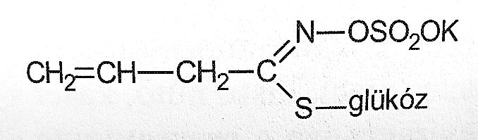 A fokhagyma, a hagyma, a medvehagyma, a póréhagyma és a metélőhagyma az Allium nemzetség (Amaryllidaceae család) jól ismert képviselői, amelyek S-alk(en)il-l-ciszteinszulfoxidokat tartalmaznak.