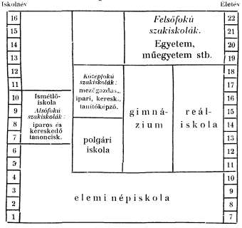 65 2. Α nemzeti munkásközösség második, középső rétege mintegy rendelkező, közvetlenül irányìtó tényező az előbbi, a munkát fizikailag végrahajtó alsó réteggel szemben.