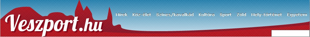 A gazdasági társulás a kezdetekben egy garázsban négy fővel indíto el a működését és két évtized alatt jutott el arra a szintre, hogy ma már a megye top 100 üzeme közül a 77.