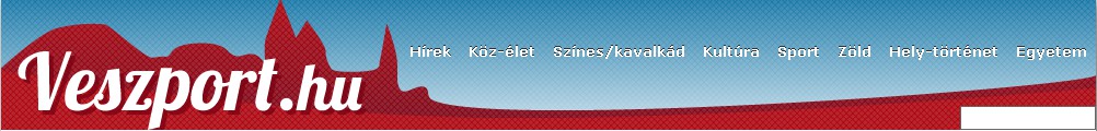 A gazdasági társulás a kezdetekben egy garázsban négy fővel indíto el a működését és két évtized alatt jutott el arra a szintre, hogy ma már a megye top 100 üzeme közül a 77.