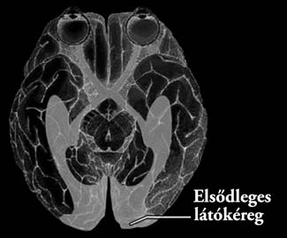 Harmadik fejezet A valóság letöltése Életünk oly gyakran az az élet, amit nem élünk.