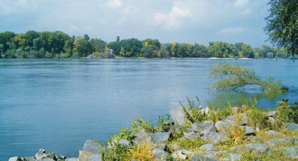 Az ipari tevékenység közelében a természetes vizek nagyon elszennyezôdhetnek. A Duna vize magyarországi szakaszán közepesen szennyezett.