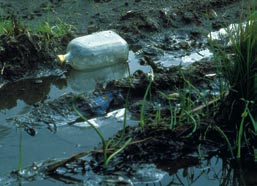 A nagy mennyiségben keletkezett szennyvizeket mesterséges úton kell megtisztítani még mielôtt patakba,
