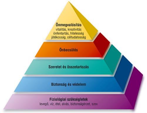 2. kategória: másodrendű szükségletek: amelyek a társadalomban való létezés feltételei (pl: nem gyalogolunk, hanem igénybe vesszük a BKV-t, vagy autóval járunk, számítógépünk van,stb.) 3.