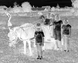 28 Sződiek Híradója 2012.