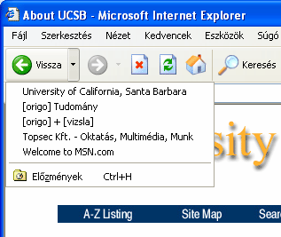 Böngészés közben a Vissza feliratú gomb segítségével egyenként lépegethetünk vissza a már meglátogatott oldalakra.