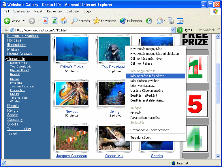 Információ és kommunikáció MS Windows XP Lehetőségünk van továbbá a weboldalt Szövegfájl formátumban elmenteni, ekkor kizárólag az oldalon szereplő szöveges információk kerülnek mentésre.