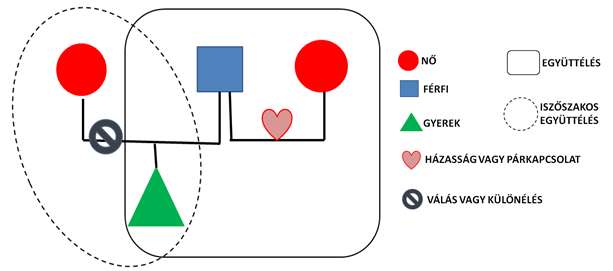12. ábra A mozaikcsalád szerkezete (itt az apa házasodott újra) Forrás: Saját szerkesztés 5 A mozaikcsaládok legfőbb jellemzői (Krähenbühl et al.