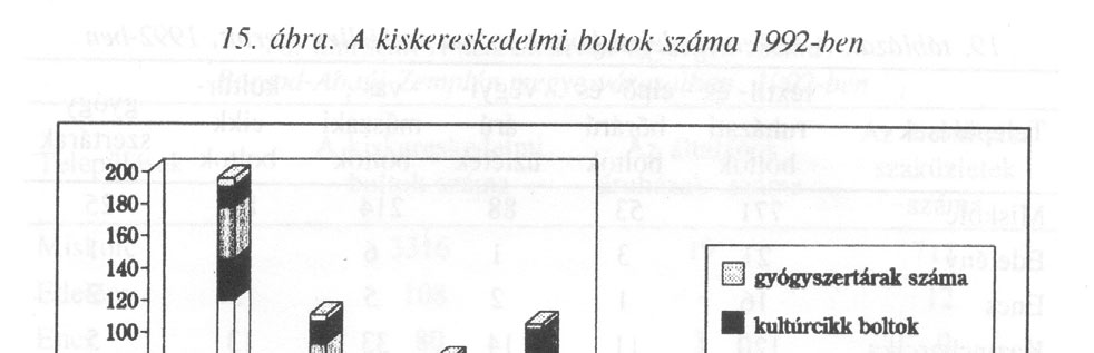 A város kiskereskedelmét vizsgálva kettős témakörrel állunk szemben: egyrészt a városon belüli kereskedelem alakulásával és minőségével, másrészt a város és vonzáskörzetének viszonyával.