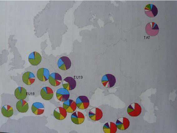 Az alábbi térkép a Semino és társai által 2000-ben elvégzett nemzetközi összehasonlító vizsgálatok alapján készült.