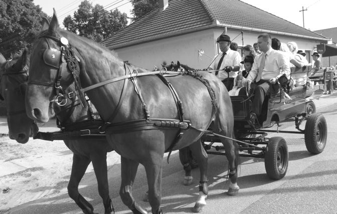 Délután egyebek mellett Egészség-sziget, gyereksarok, kézmûves foglalkozások, a népi és történelmi játékok fesztiválja várta a látogatókat, a Magor Magyarjai Hagyományõrzõ Egyesület, valamint a Népi