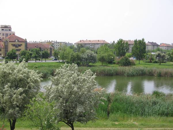 Szeged, Rókusi körút 2-es villamosvonal Közpark A Vértó a közpark tájegység fontos eleme.