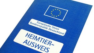 Az olyan kutyák, macskák és vadászgörények számára, amelyeket az Európai Unión belül határokon át szállítanak, az alábbi szabályok érvényesek: Személyenként legfeljebb 5 háziállatot lehet magunkkal